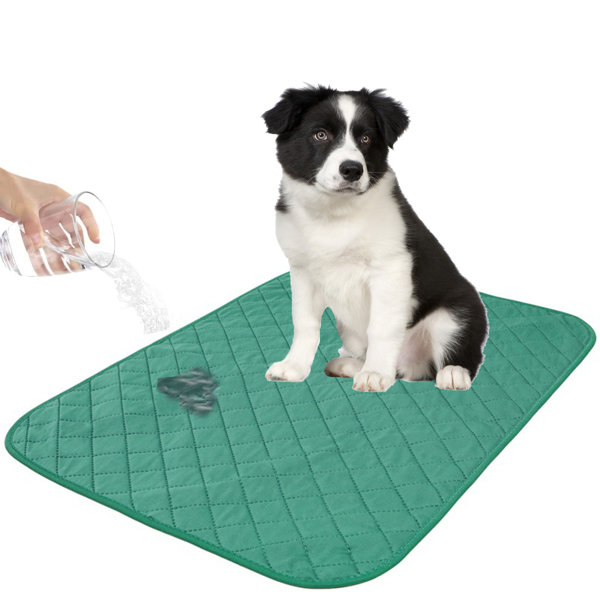 Crate Pads For Dogs Waterproof seeds.yonsei.ac.kr